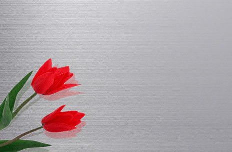 No.3 / HL Finish Cold Rolled Stainless Steel Sheet Prime Grade Material
